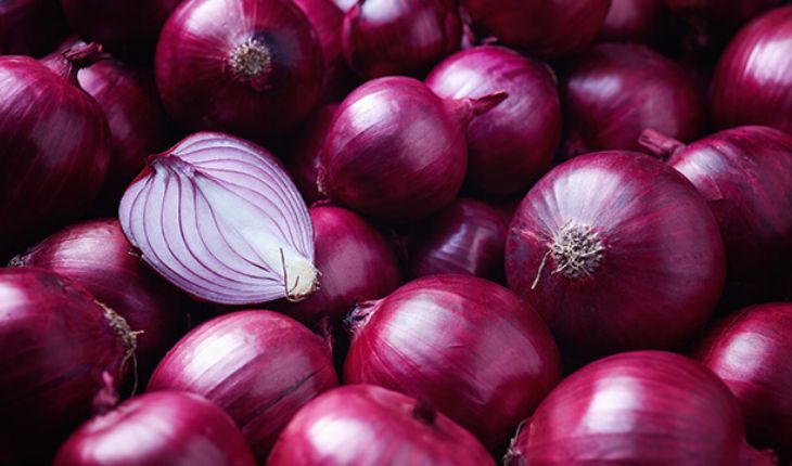 Fresh Onion Exporter NS Global Trade Exports