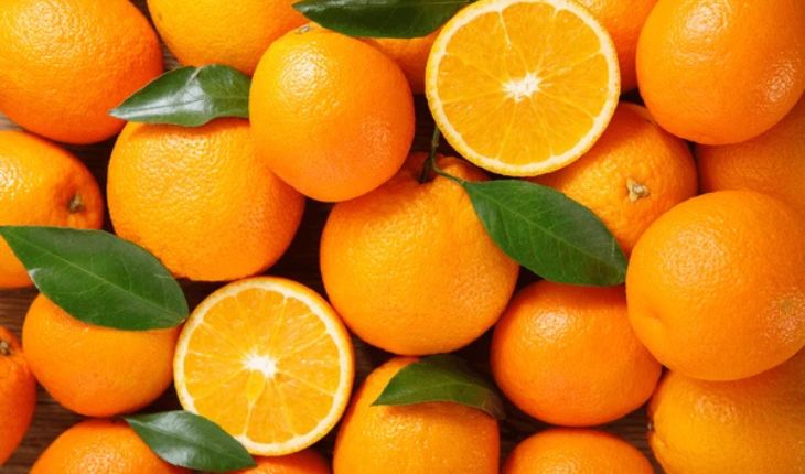 Fresh Orange Exporter NS Global Trade Exports